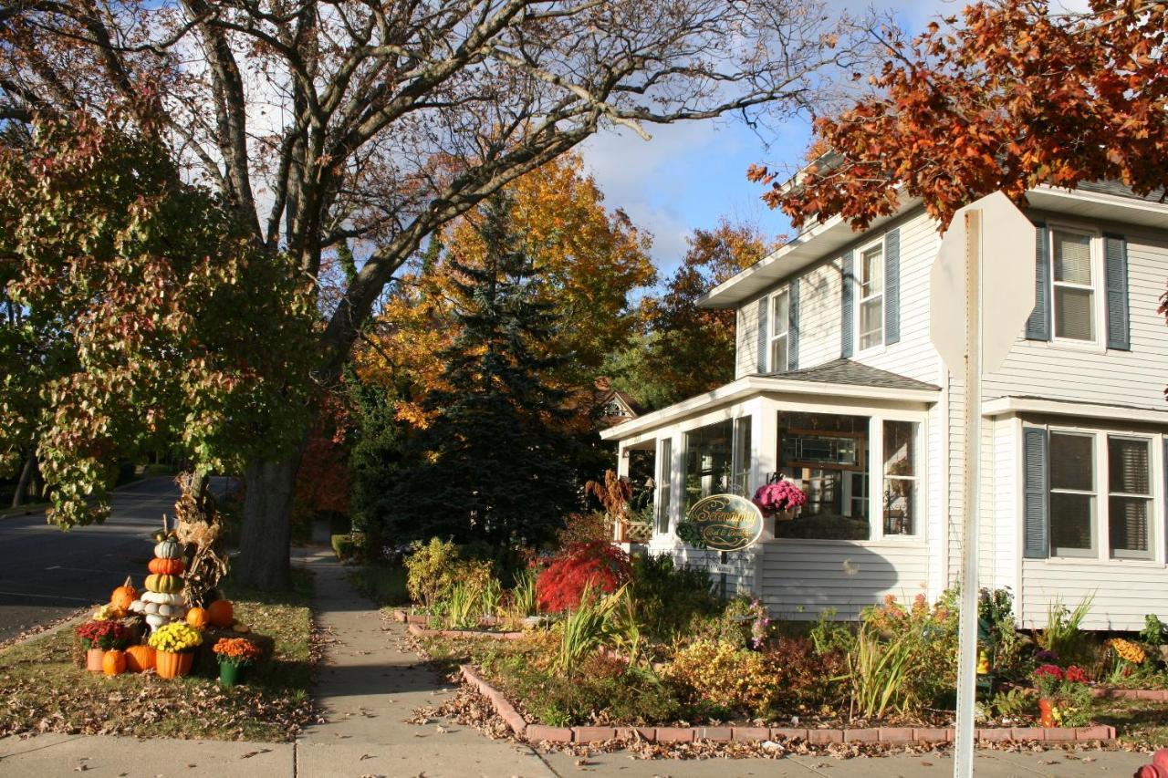 Serendipity Bed And Breakfast ソーガタック エクステリア 写真